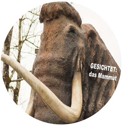 Mammut_groß_28_2